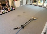 Eco Friendly Carpet Cleaning image 25